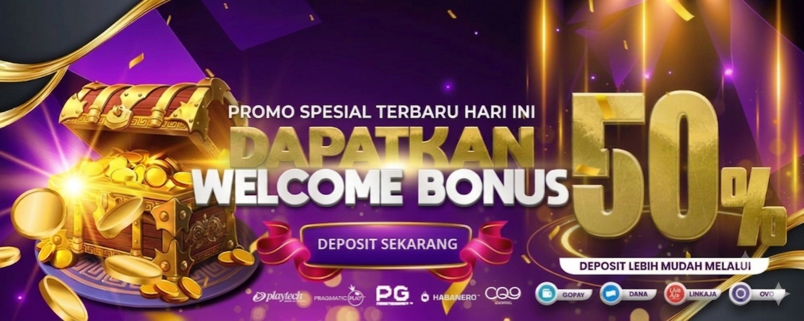 Promo Banner